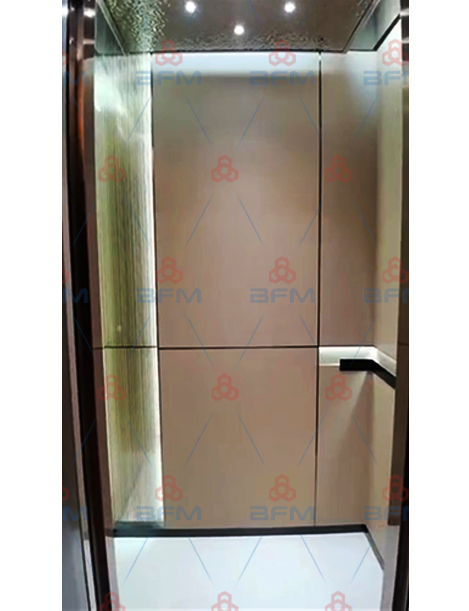 汕头潮南别墅梯