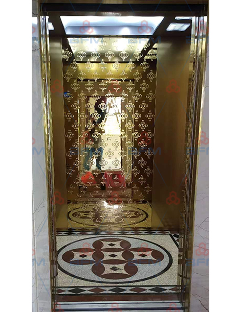 佛山高明区更合镇吉田村-轿厢